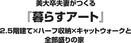 美大卒夫妻がつくる 『暮らすアート』 2.5階建て×ハーフ収納×キャットウォークと全部盛りの家 